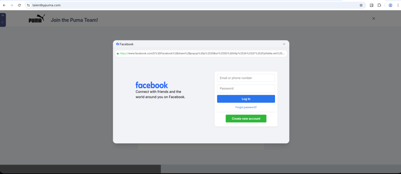 Third-stage fake Facebook login window